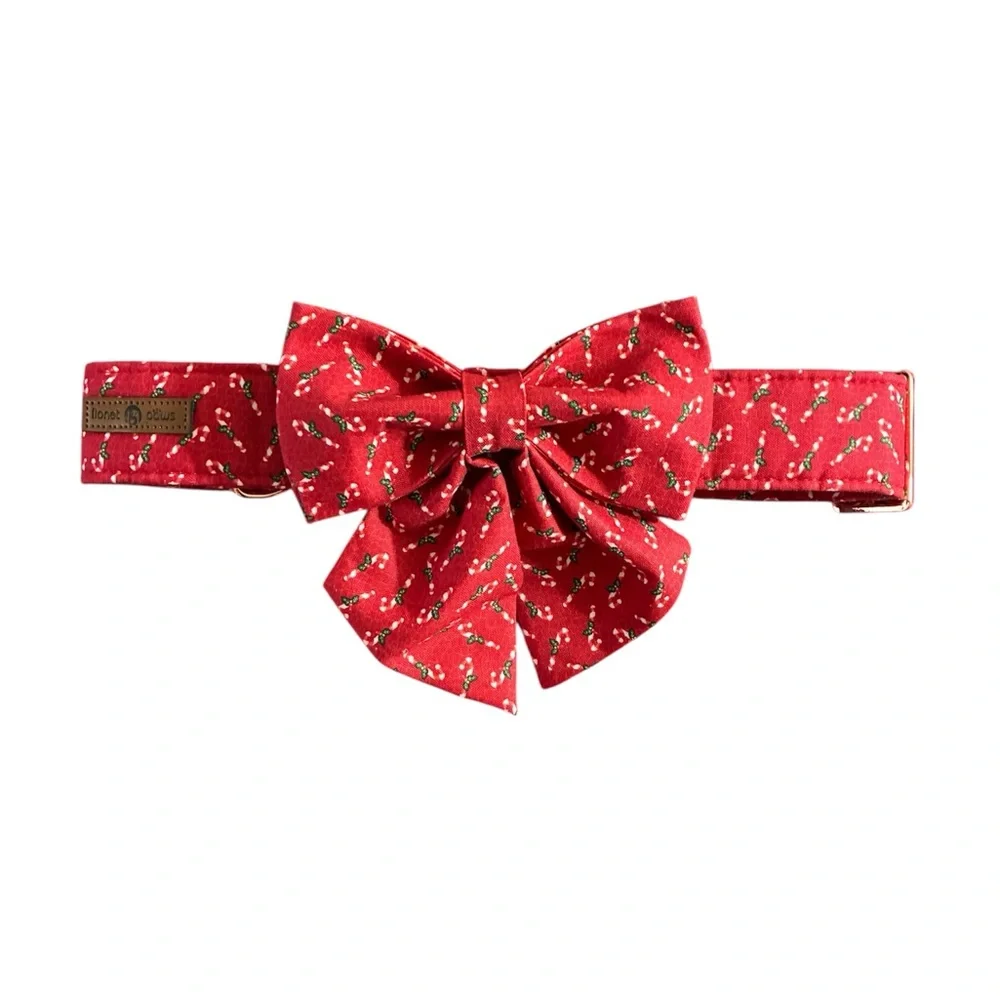 Lionet Paws Christmas Candy Cane Dog Collar & Bow Tie Set